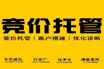 案例对比：不同行业竞价推广策略解析